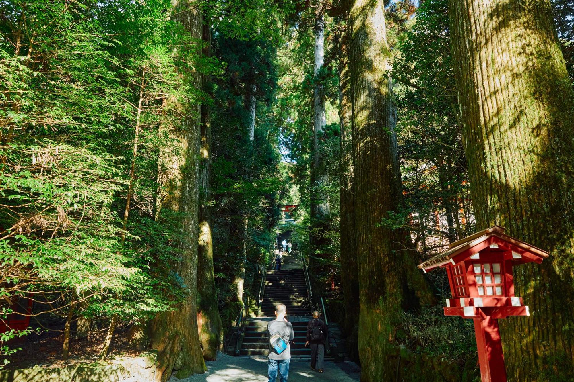 Villa Hakone Kabuto 古民家旅館 150平米 バス停迄一分 準天然温泉 最大12名 Luaran gambar